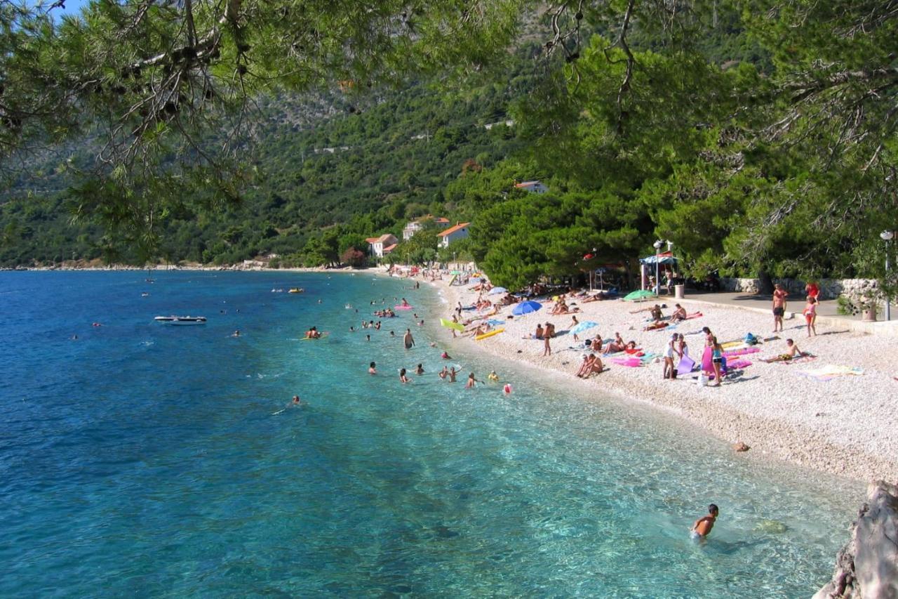 Apartments By The Sea Zivogosce - Porat, Makarska - 20207 Igrane Zewnętrze zdjęcie